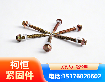 日照六角钻尾丝